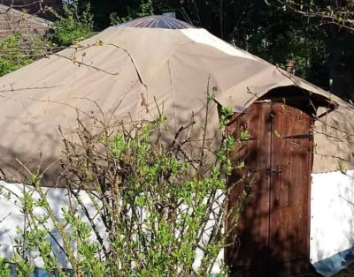 Alde Garden – Dragonfly Yurt