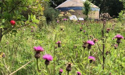 A Nature Based Business: Runach Arainn, Isle of Arran, Scotland